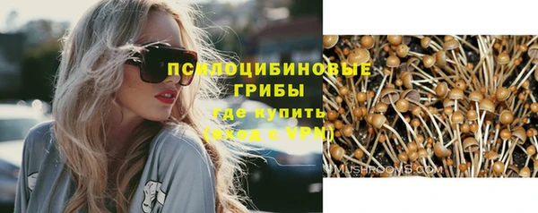 apvp Бронницы